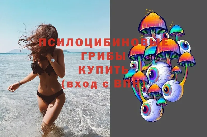 Галлюциногенные грибы Cubensis  KRAKEN ТОР  Балтийск  сколько стоит 